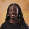 phd-bolu
